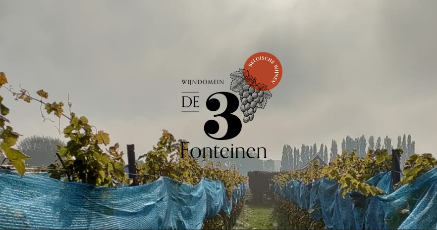 Wijndomein De 3 Fonteinen